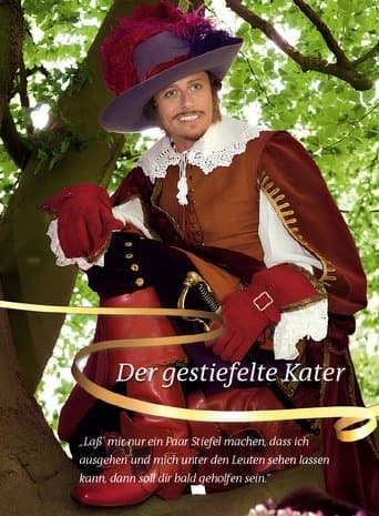 Kot w butach